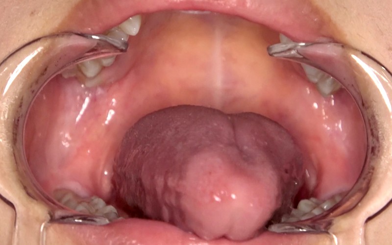 サンプル画像 15