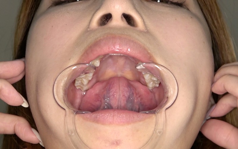 サンプル画像 16