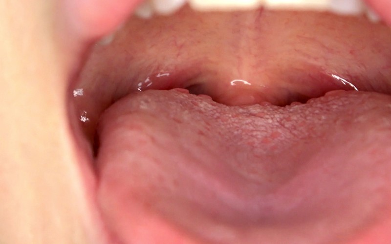 サンプル画像 11