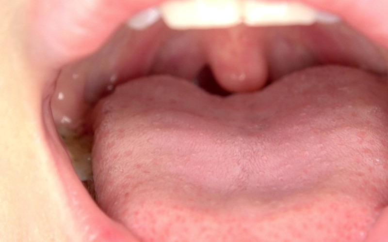 サンプル画像 12