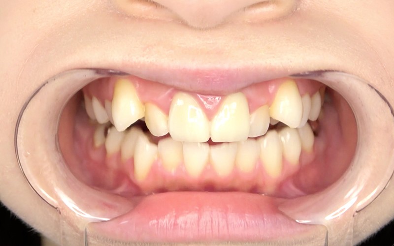 サンプル画像 6