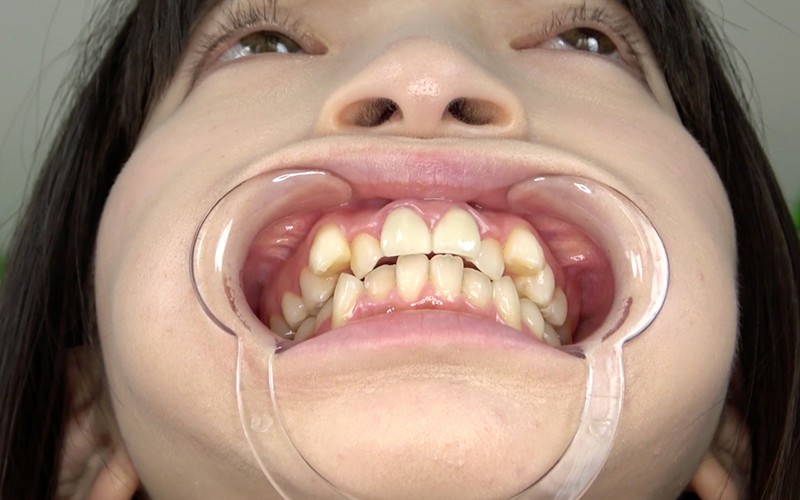 サンプル画像 8