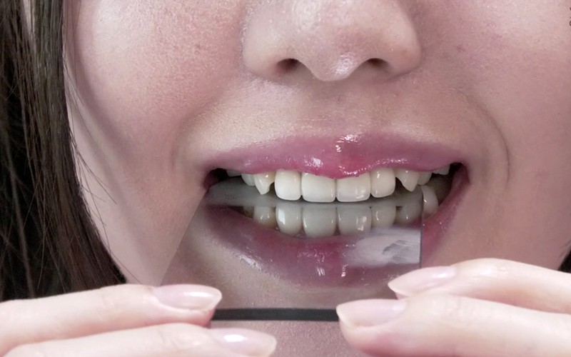 サンプル画像 14