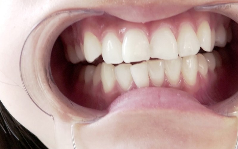 サンプル画像 13