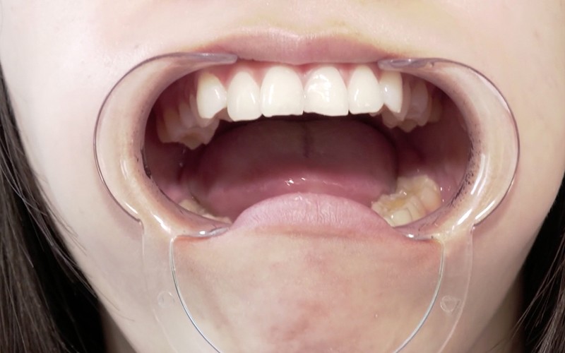 サンプル画像 15