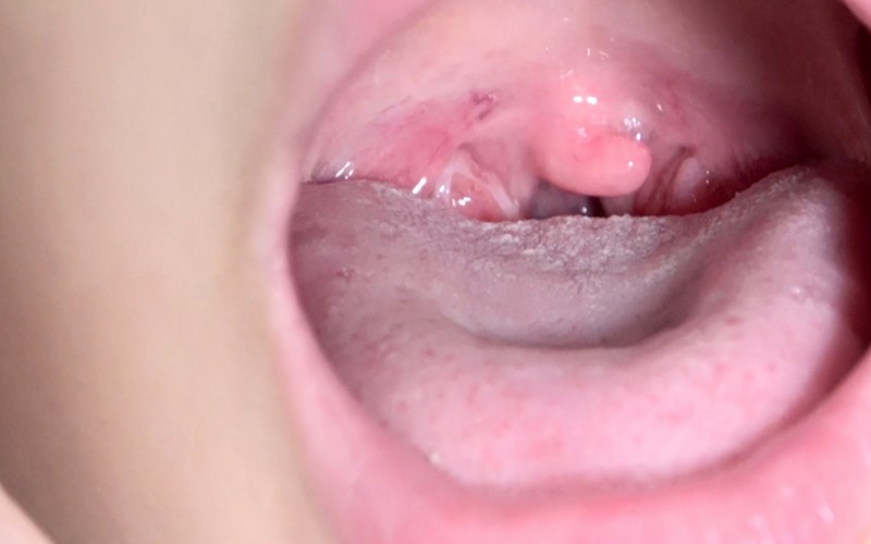 サンプル画像 13