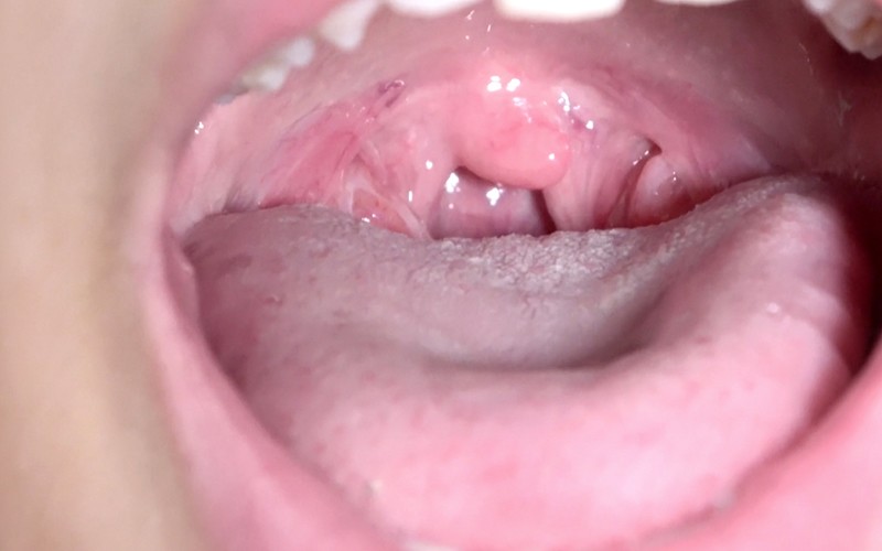 サンプル画像 14