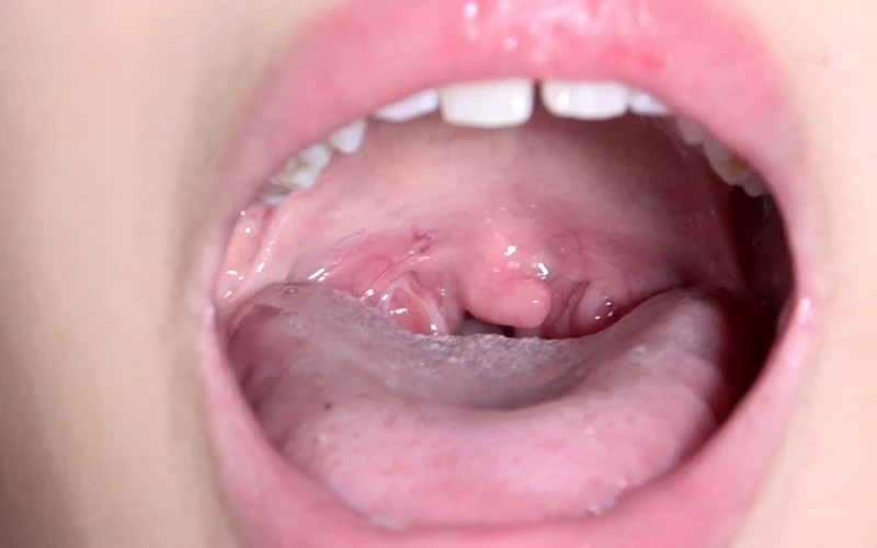 サンプル画像 16