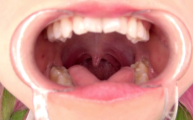 サンプル画像 4