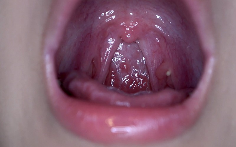 サンプル画像 6