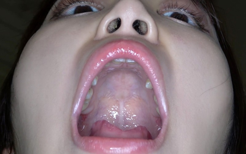 サンプル画像 9