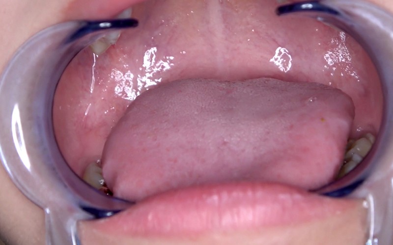 サンプル画像 12