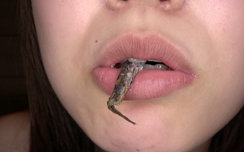 サンプル画像 14