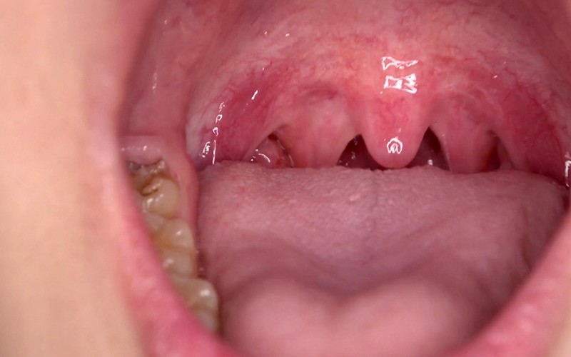 サンプル画像 16