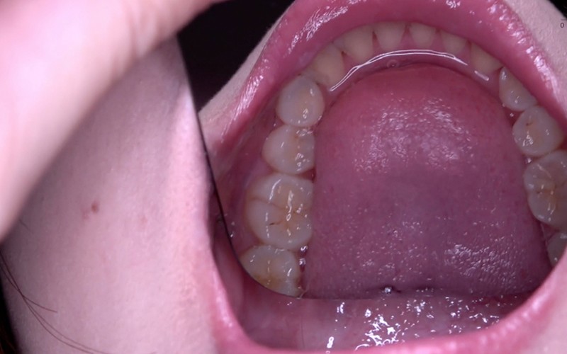 サンプル画像 11