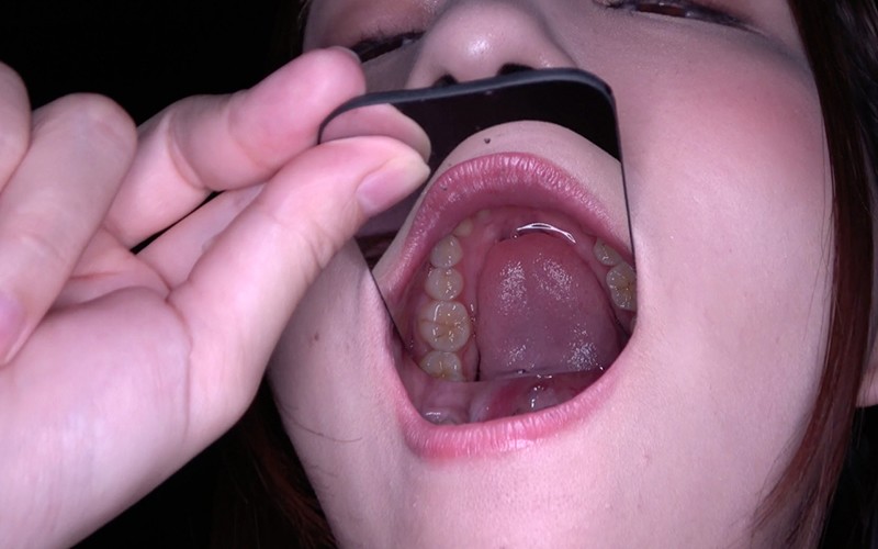 サンプル画像 12