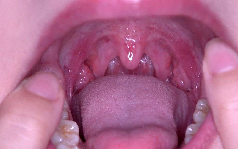 サンプル画像 15