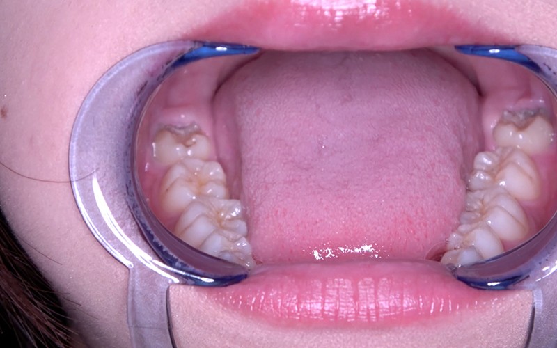 サンプル画像 6