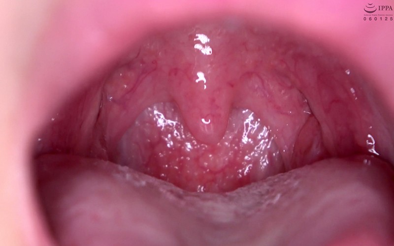 サンプル画像 15