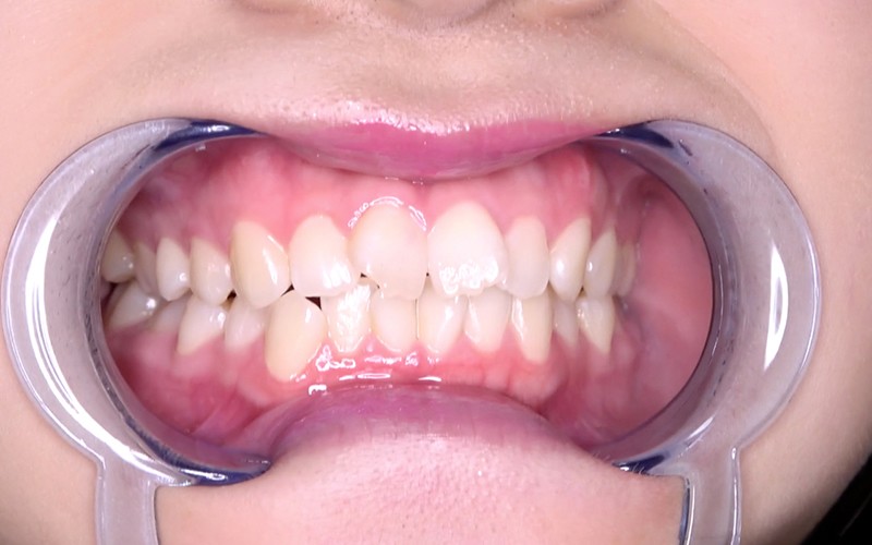 サンプル画像 5