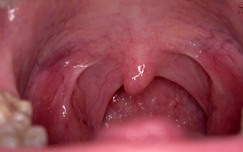 サンプル画像 8