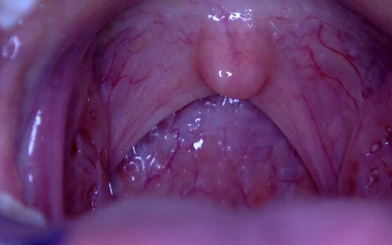 サンプル画像 11