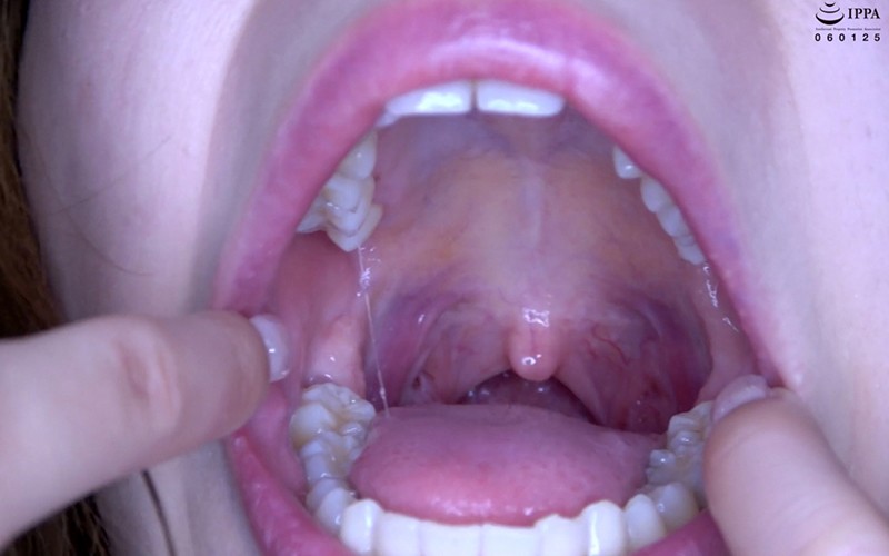 サンプル画像 13