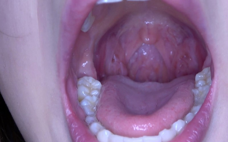 サンプル画像 14