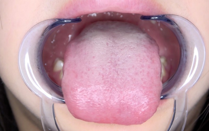 サンプル画像 5