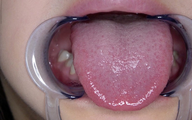 サンプル画像 6