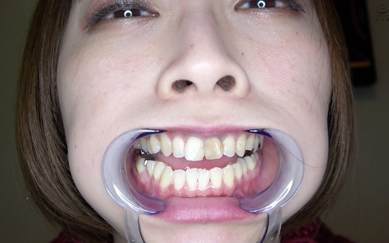 サンプル画像 8