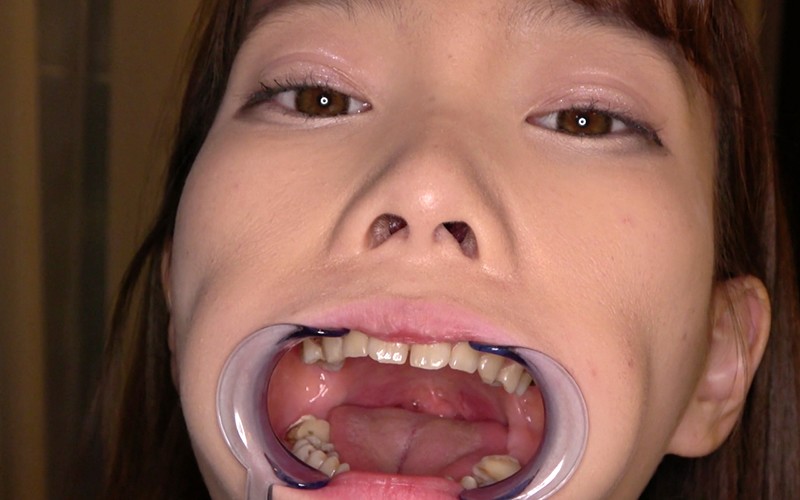 サンプル画像 11