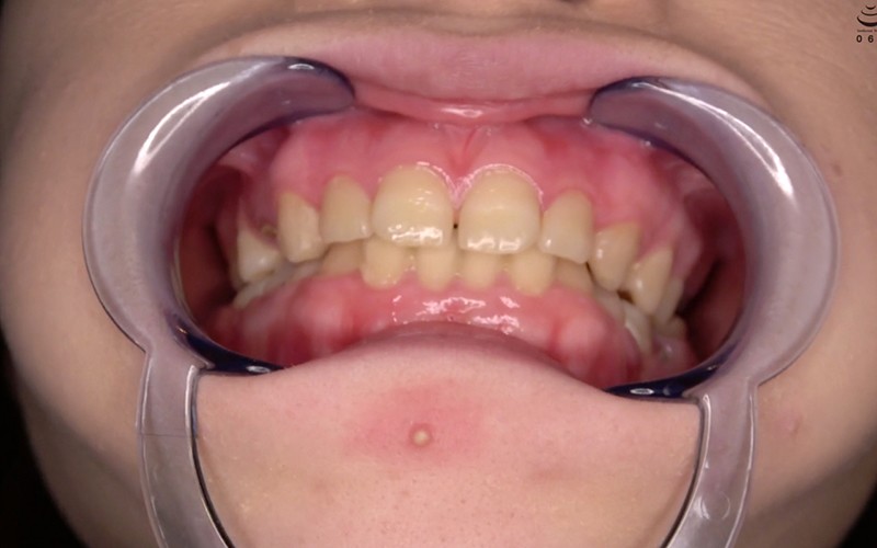 サンプル画像 5