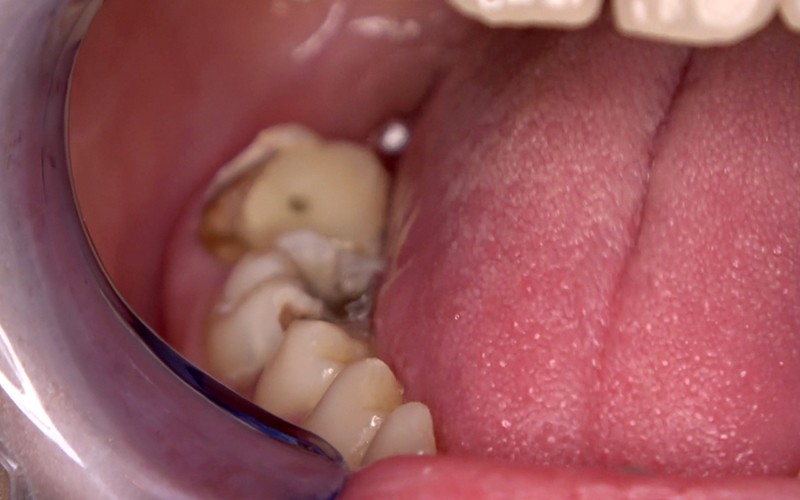 サンプル画像 8