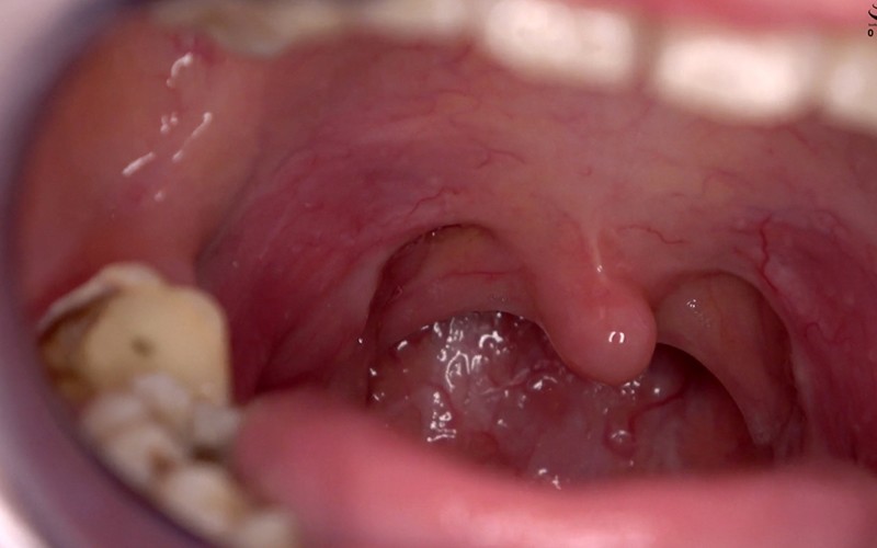 サンプル画像 10