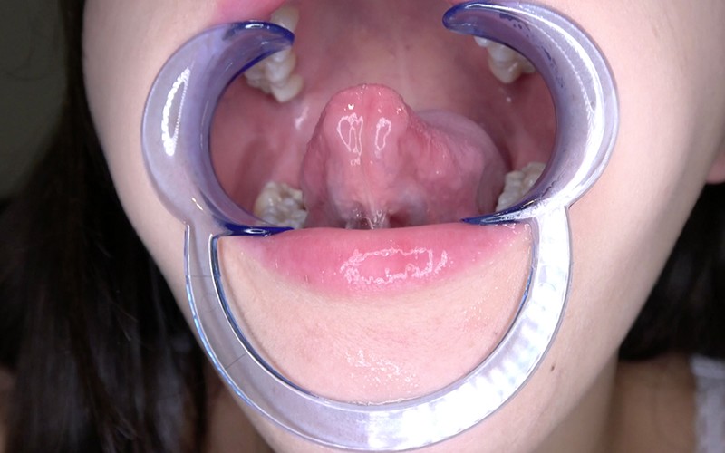 サンプル画像 11