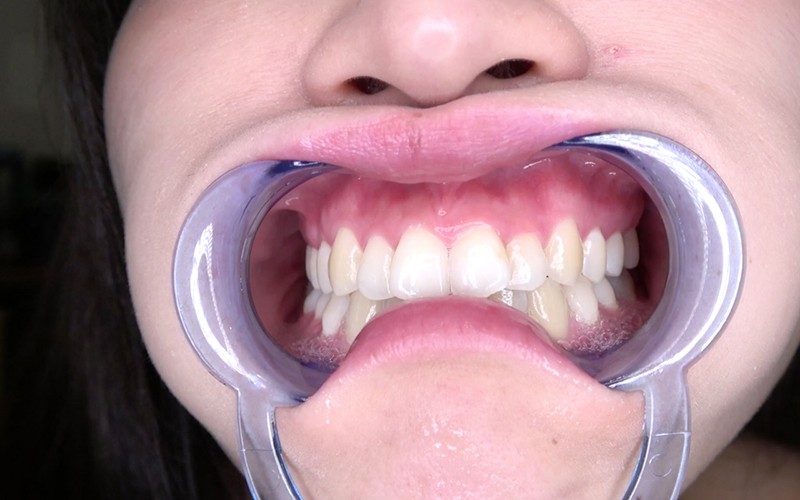 サンプル画像 12