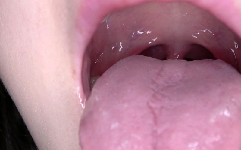 サンプル画像 17