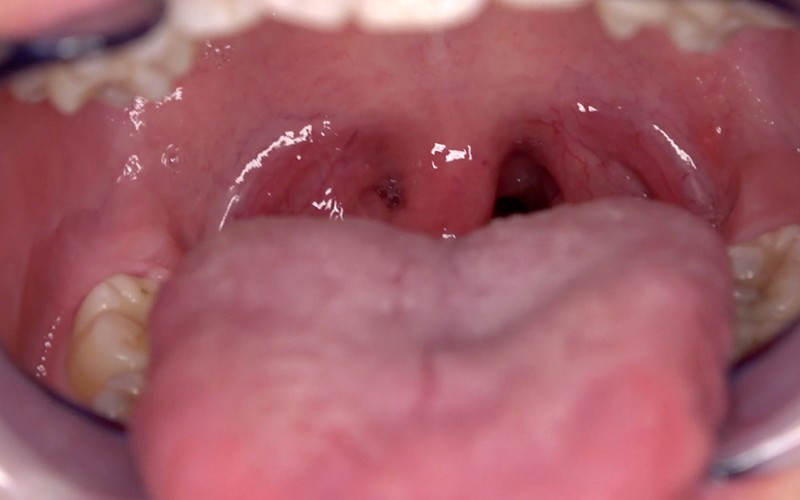 サンプル画像 11