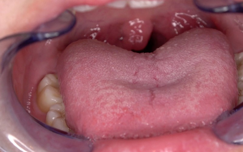 サンプル画像 12