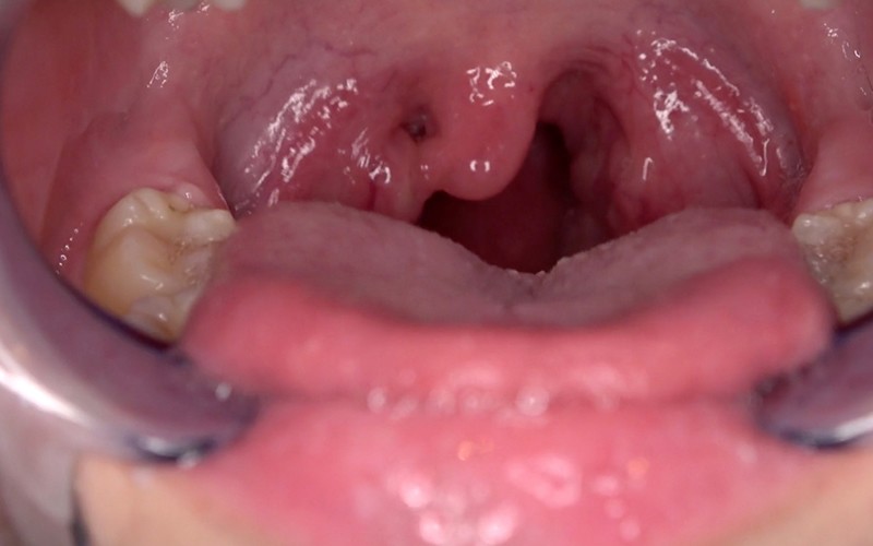 サンプル画像 13