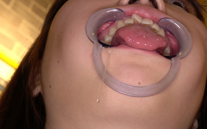 サンプル画像 6