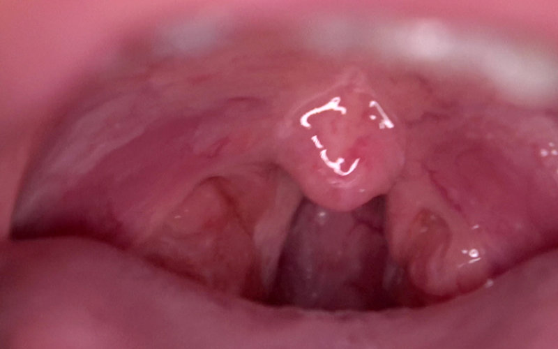 サンプル画像 12