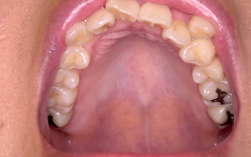 サンプル画像 13