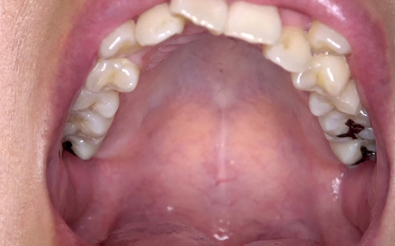 サンプル画像 10