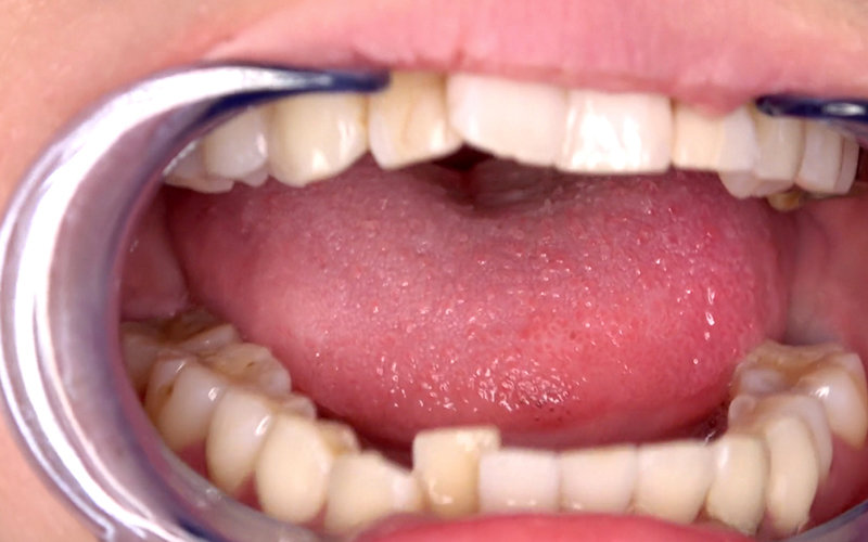 サンプル画像 5