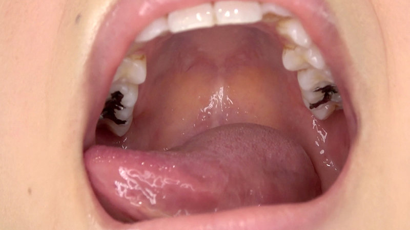 サンプル画像 12