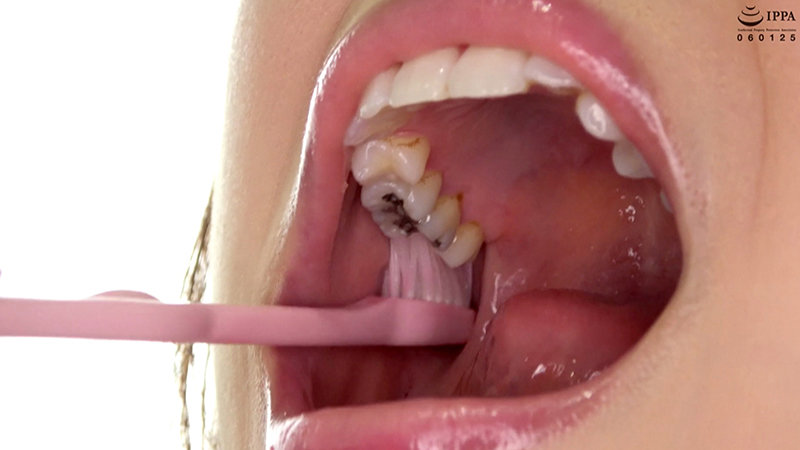 サンプル画像 6