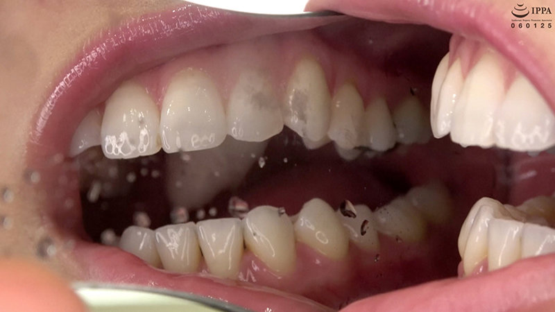 サンプル画像 8