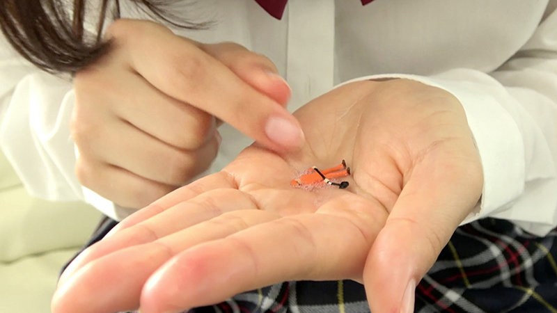 サンプル画像 12